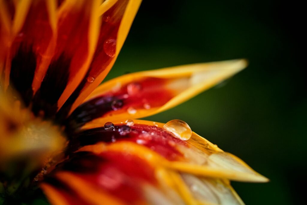 Anthropic is giving away its powerful Claude Haiku 4.5 AI for free to take on OpenAI