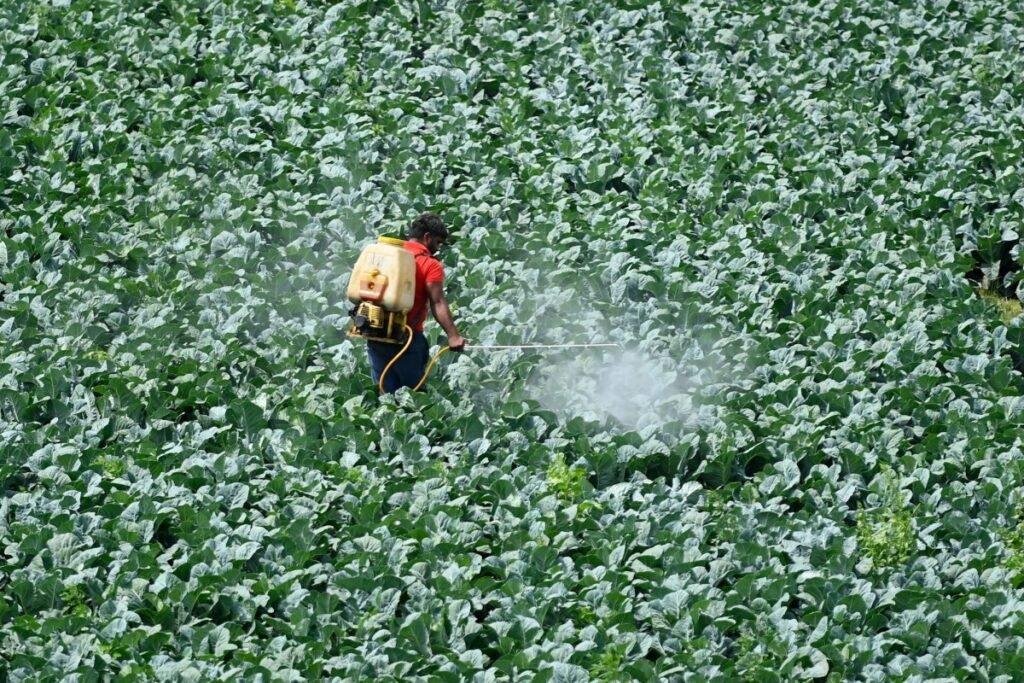 Teen founders raise $6M to reinvent pesticides using AI — and convince Paul Graham to join in