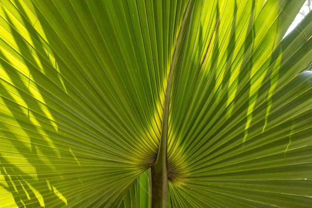 New training method boosts AI multimodal reasoning with smaller, smarter datasets